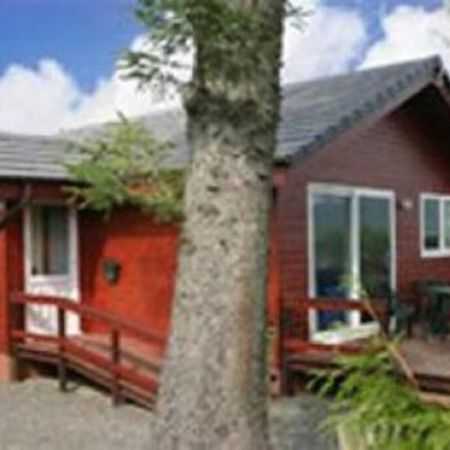 Heron Lodge, Edge Of Mabie Forest Dumfries Exteriör bild
